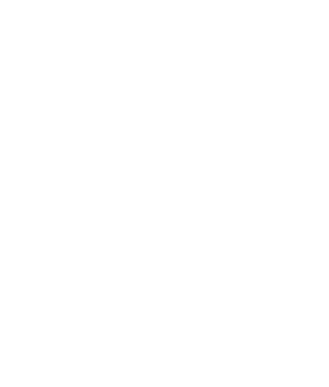 IT House logo