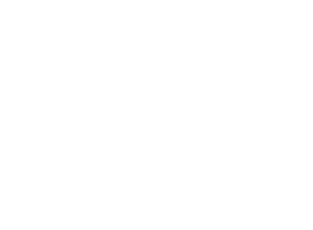Tarantino logo